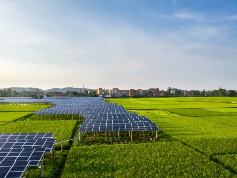 service-1 1737656317 agri